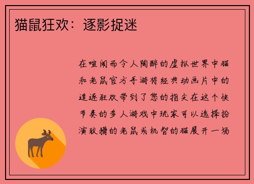 猫鼠狂欢：逐影捉迷